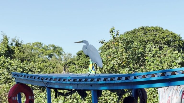 SJB e SFI lançam novo roteiro turístico pelo Rio Paraíba e reforçam integração regional