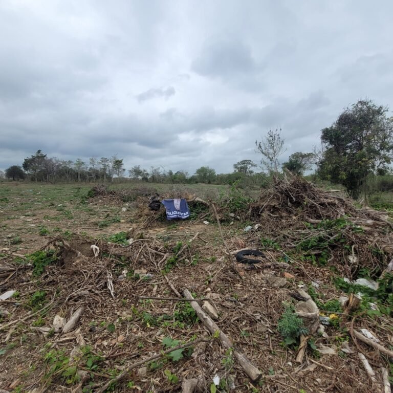 Área de 20 mil m² é desmatada em Campos; Polícia Ambiental investiga crime no Parque Rosário
