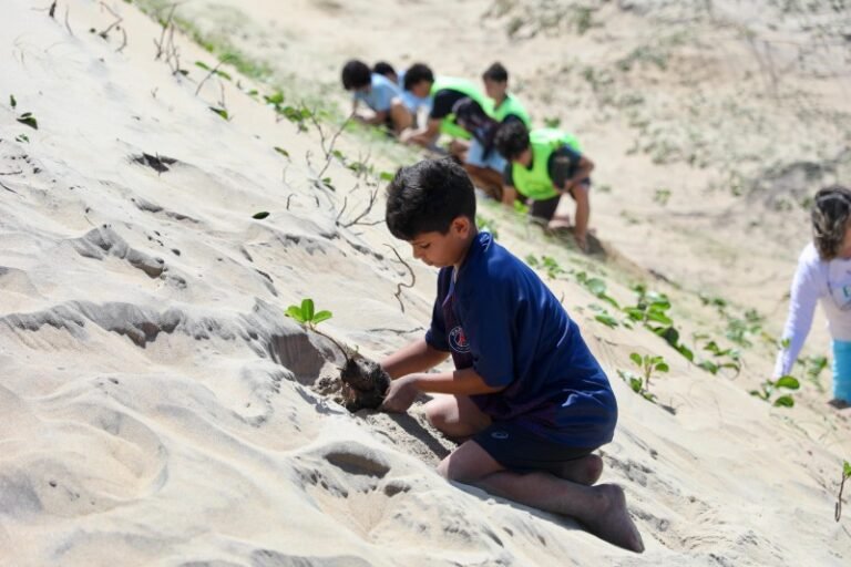 São João da Barra tem projeto ambiental selecionado para programa internacional de soluções climáticas