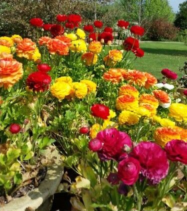 Primavera chega com tempo instável e queda acentuada de temperaturas em várias regiões do país