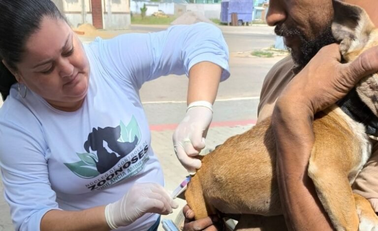 Dia D de Vacinação Antirrábica Animal em SJB terá 13 postos neste sábado
