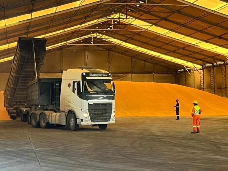 Porto do Açu entra na rota do agro de Mato Grosso com exportação de milho não transgênico
