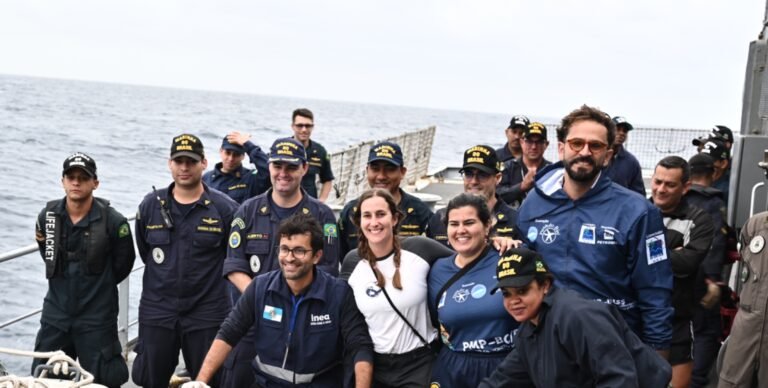 Instituto BW devolve ao mar 17 pinguins e um lobo-marinho reabilitados em ação integrada no Rio de Janeiro