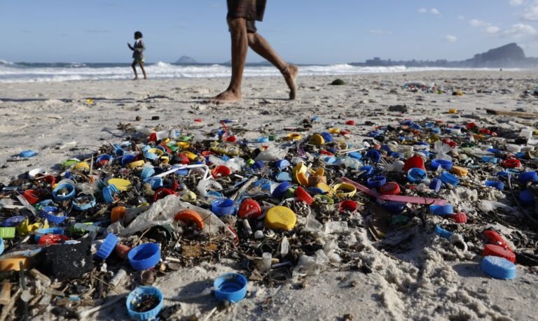 Estudo revela contaminação generalizada por micro e nanoplásticos no Brasil