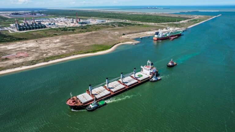 Tarifa dos EUA pode atingir mais da metade das exportações brasileiras