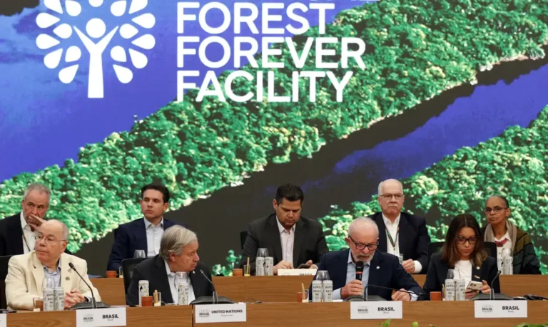 Lula lança fundo global para preservação das florestas tropicais durante Cúpula do Clima em Belém