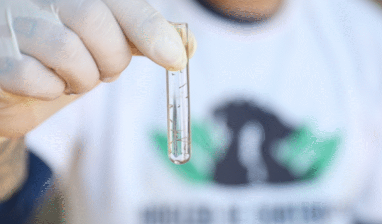 São João da Barra registra menor índice do ano no 4º LIRAa e mantém baixo risco para dengue