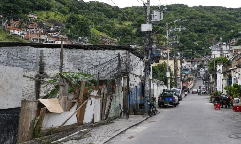 Censo revela baixa arborização e desigualdade ambiental nas favelas brasileiras