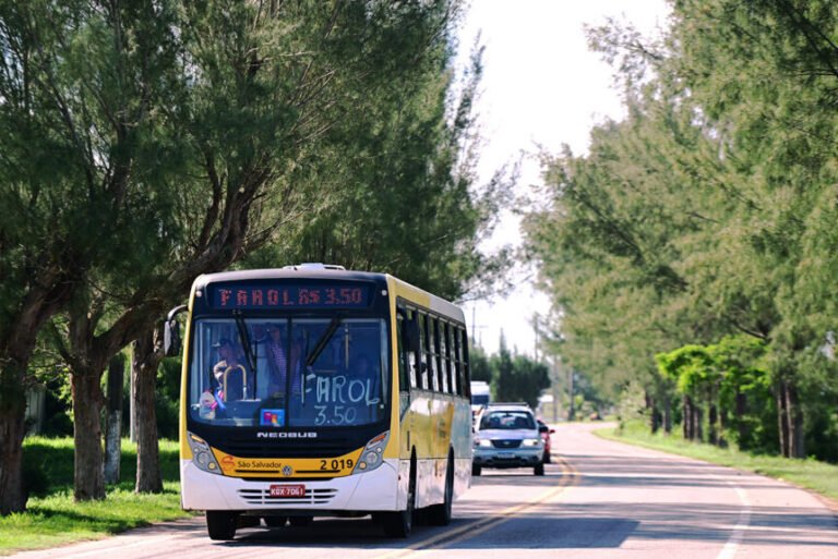IMTT autoriza operação especial de ônibus para o Farol de São Tomé durante o verão e Carnaval de 2026