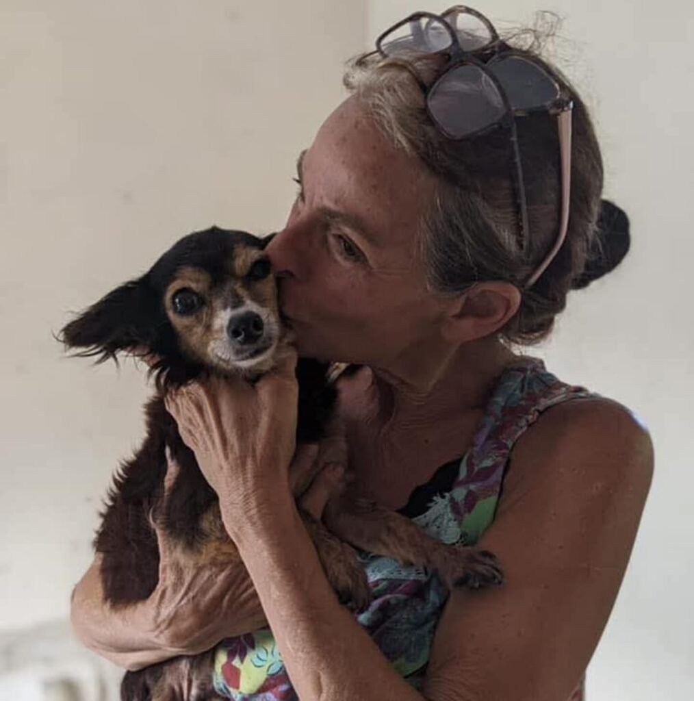 Chuva derruba muro de abrigo e cães fogem em Campos