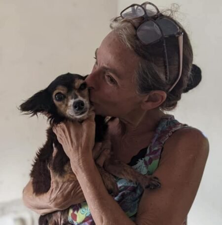 Chuva derruba muro de abrigo e cães fogem em Campos