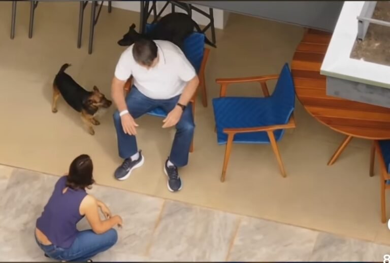 Bolsonaro deixa hospital e cumpre prisão domiciliar em casa