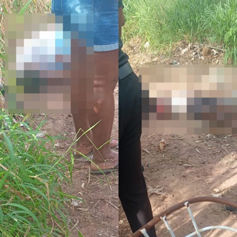 Adolescentes são encontrados mortos a tiros em estrada de Campos