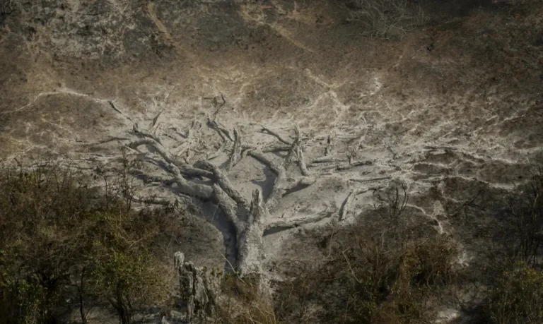 Maioria dos brasileiros já sente impactos das mudanças climáticas