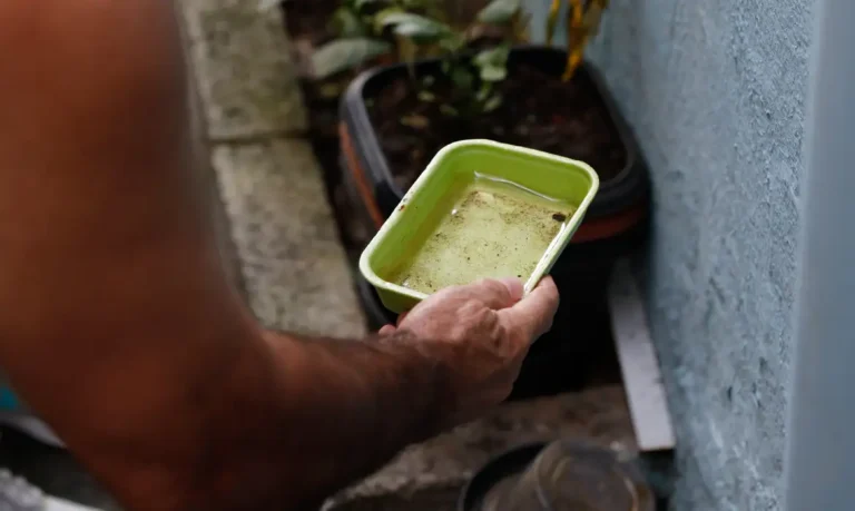 Ministério da Saúde alerta para risco de aumento da dengue com possível retorno do El Niño