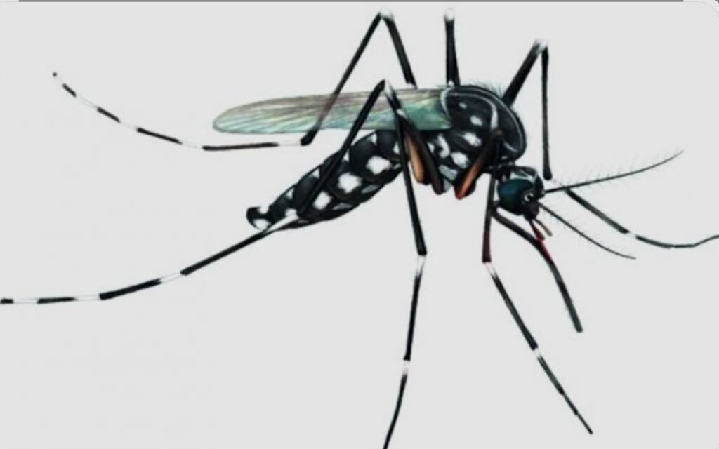 Campos inicia nova etapa de monitoramento do Aedes aegypti com quase 700 armadilhas em 95 localidades