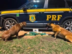 Mulher é presa com quase 10 kg de drogas que seriam levadas para Campos dos Goytacazes