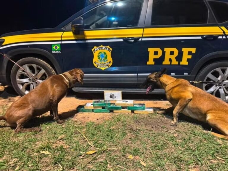 Mulher é presa com quase 10 kg de drogas que seriam levadas para Campos dos Goytacazes