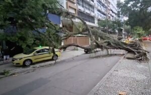 Ventos de mais de 100 km/h provocam queda de árvores e transtornos no Rio de Janeiro