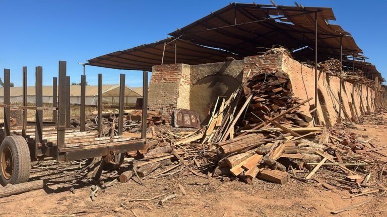 Polícia Ambiental identifica duas olarias funcionando de forma irregular em Campos
