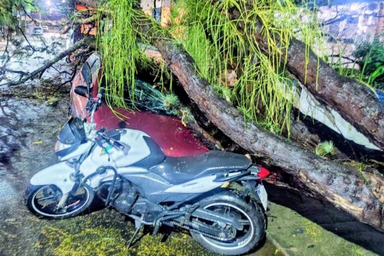 Árvore cai sobre carro em frente ao Hospital Álvaro Alvim durante chuva em Campos