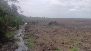 Área de 100 mil metros quadrados é encontrada degradada em Campos