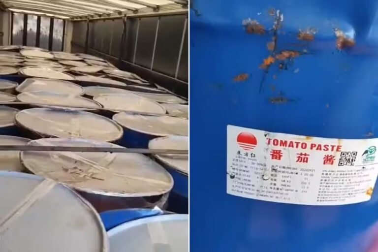 Caminhão com 32 toneladas de polpa de fruta é interceptado em condições inadequadas em Campos