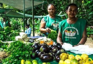 São Fidélis terá programação especial sobre alimentação e agricultura