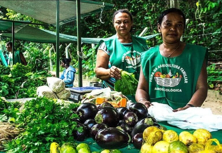 São Fidélis terá programação especial sobre alimentação e agricultura