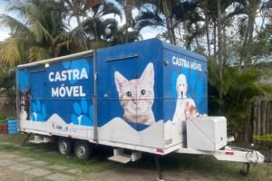 CCZ abre inscrições para castração de cães e gatos em oito bairros de Campos