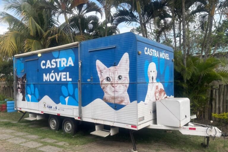 CCZ abre inscrições para castração de cães e gatos em oito bairros de Campos