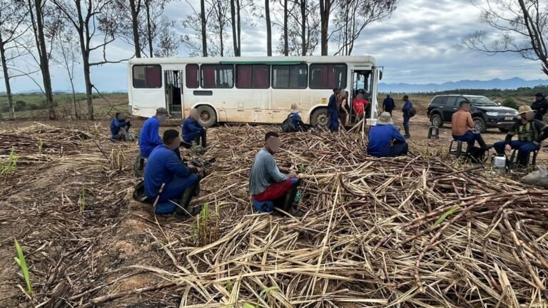 67 trabalhadores são resgatados de condições análogas à escravidão em Cabo Frio
